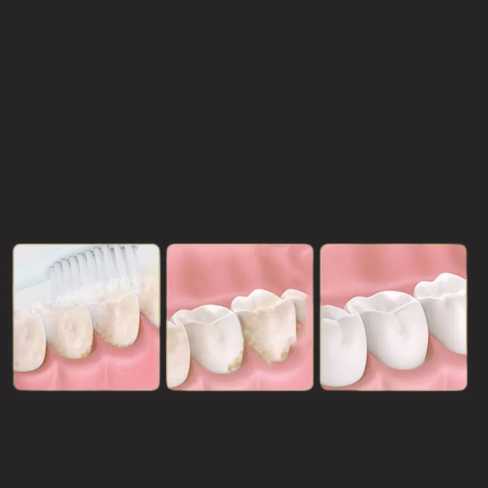 Disposable Independent Packaging Box High Elasticity Oral Cleaning Dental Floss