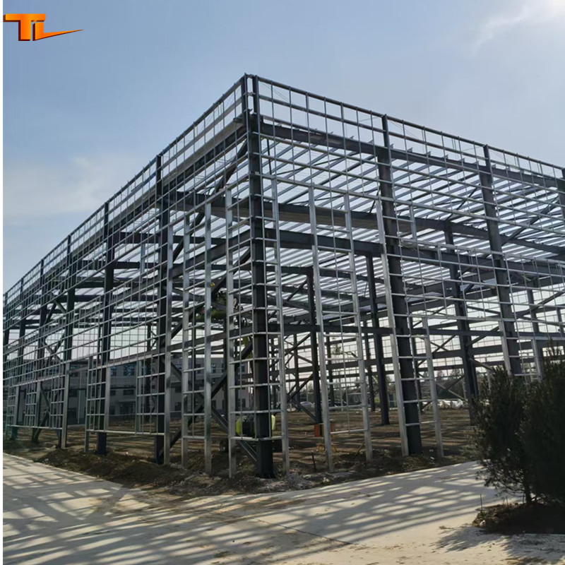 Factory Steel Structure Storage Prefabricated Steel Shed Construction Building