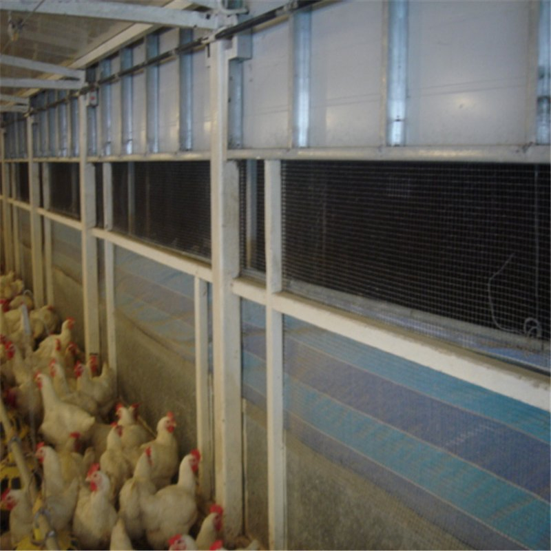 Easy Assemble Light Poultry House Steel Structure with Good Quality