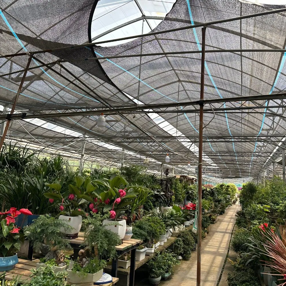30%-95% Sun Protective Shade Fabric for Greenhouse Farming