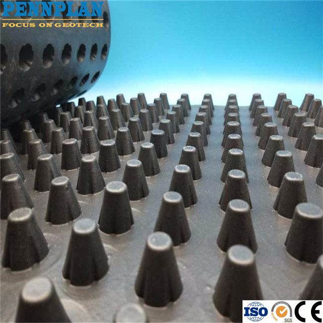 Building Construction Waterproof Dimple Membrane Drain Mat Plastic Sheet Drainage Board