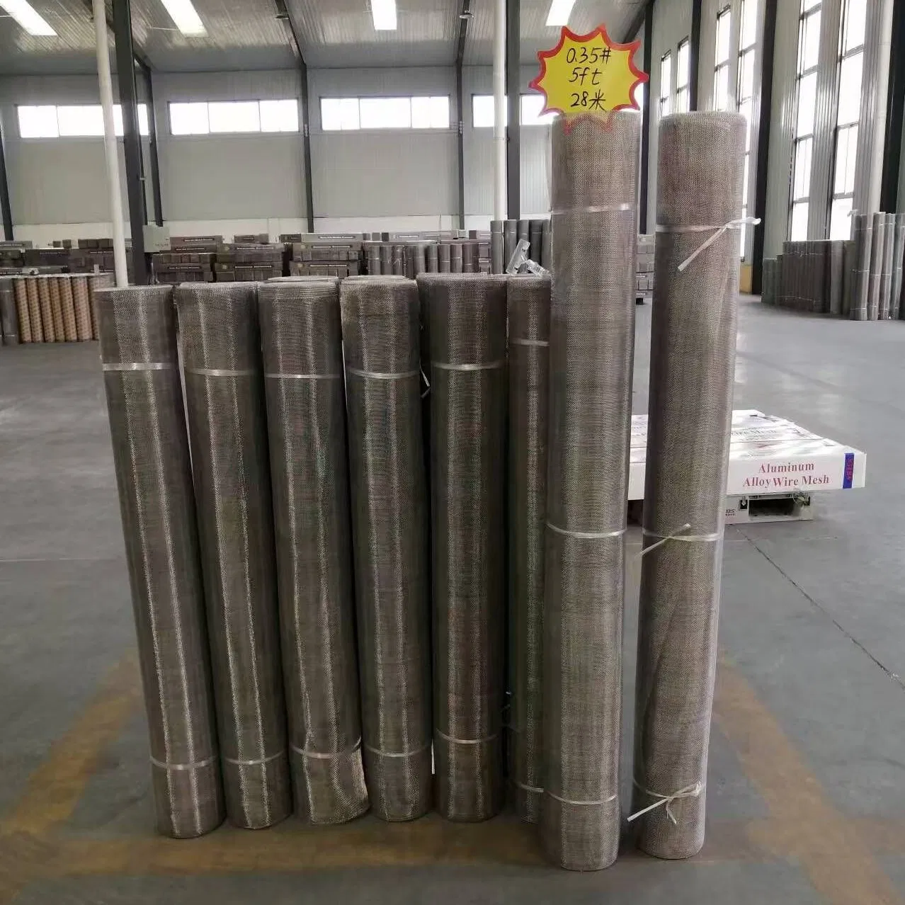 China Factory Easy to Install 14X14 and 18X16 Aluminum Alloy Window Insect Screen, Mosquito Mesh, Flying Netting