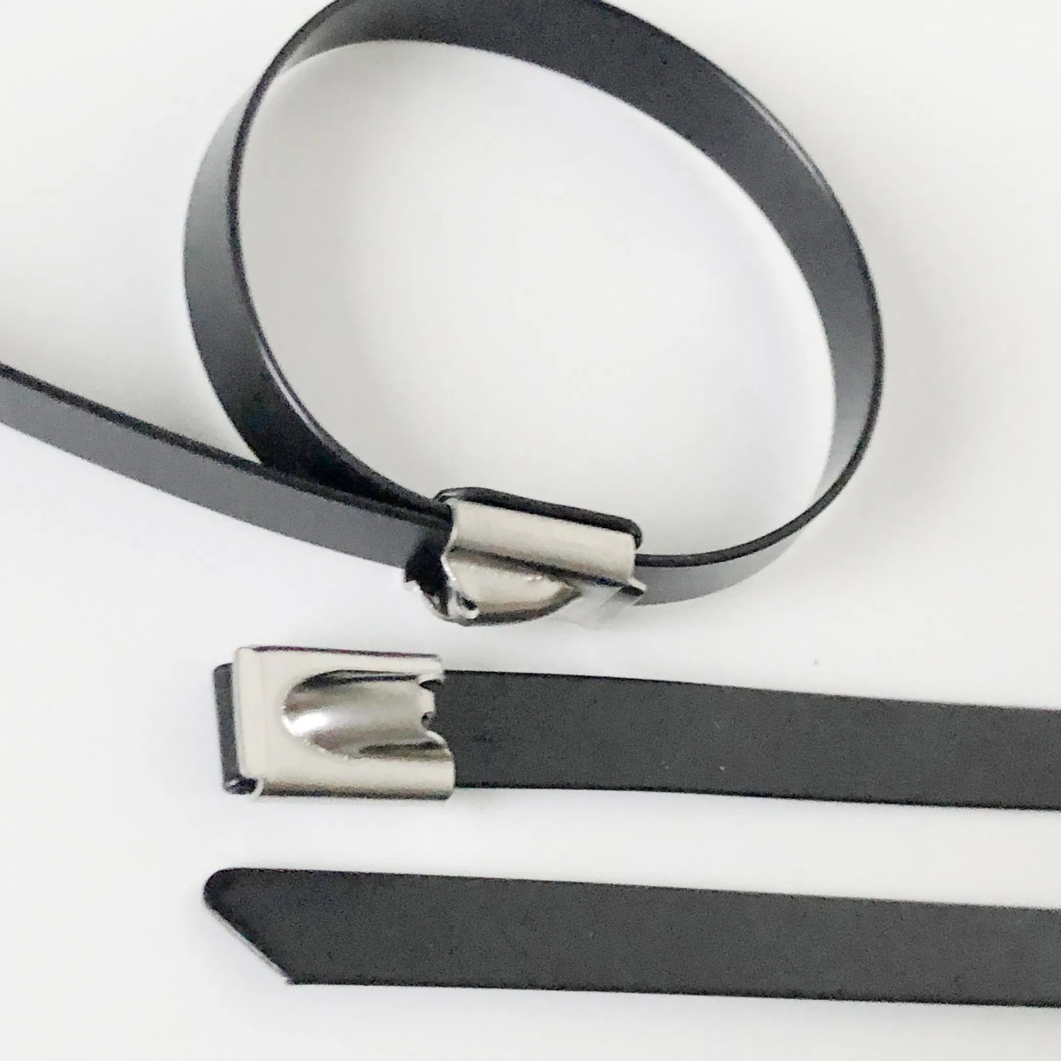 Sell Well 5.6X300mm Plastic Coated (PVC coated) Cable Tie