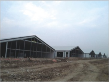 Professional Low Cost Light Steel Structure Duck House