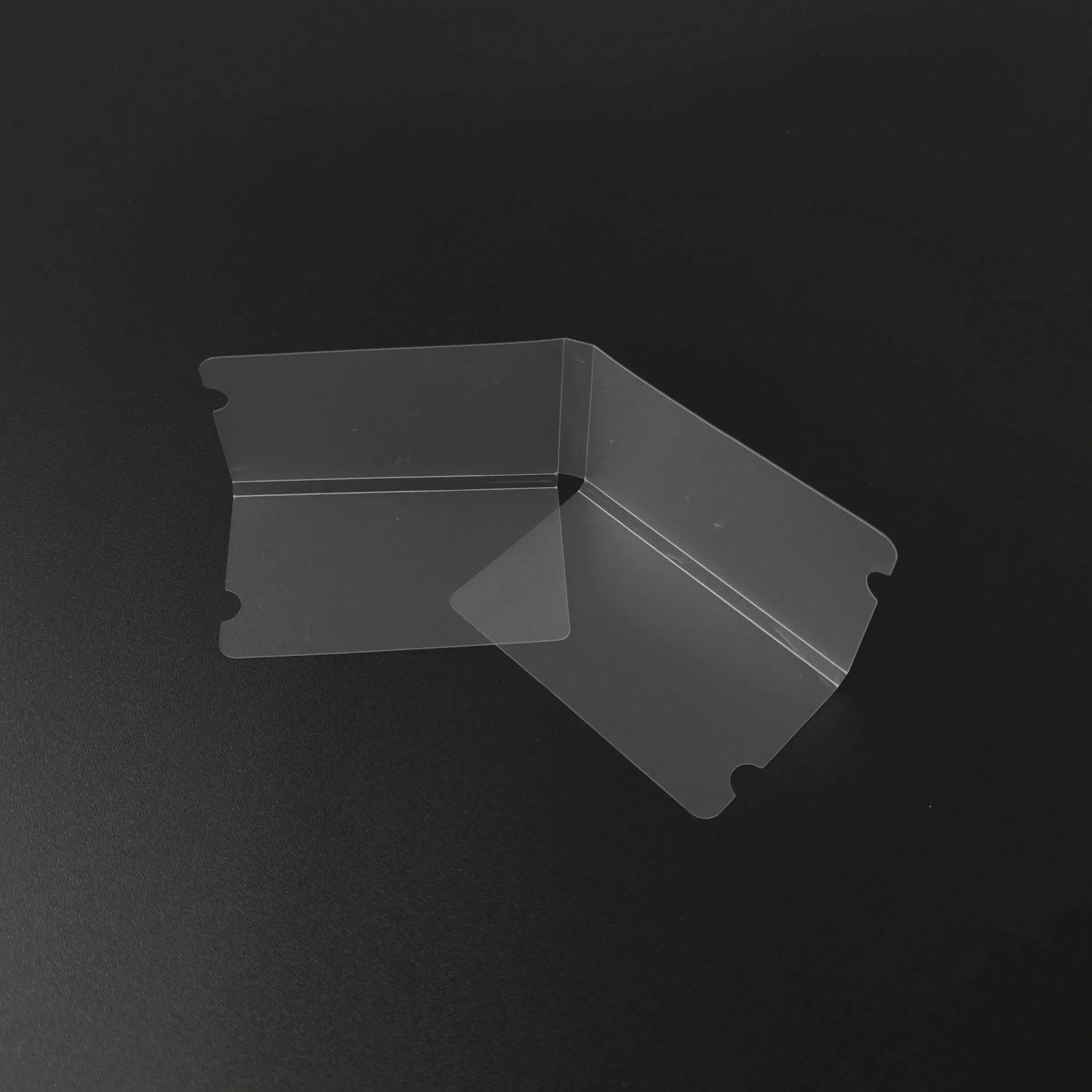 Hot Selling Plastic Face File Folder/Plastic Face Holder
