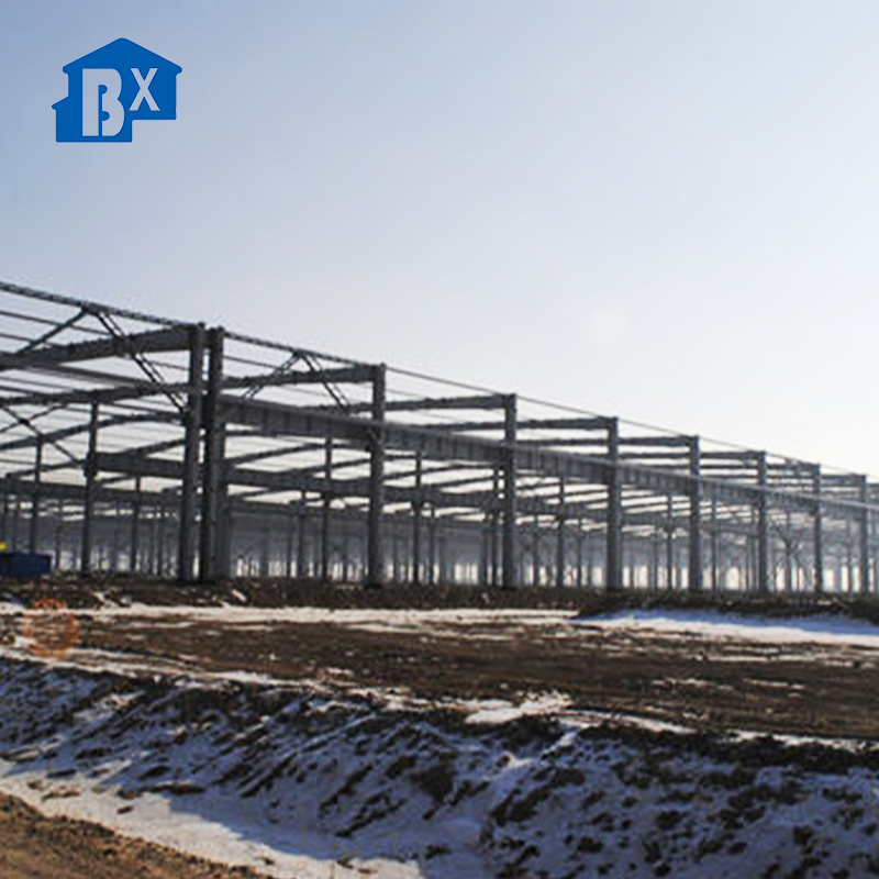 Modular Luxury Prefabricated Storage Light Steel Structure Storage Bonded Building Workshop Warehouse for Industry Prefab Steel Structure Frame Warehouse