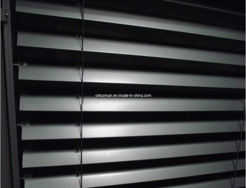 Motorized Aluminium External Venetian Blind