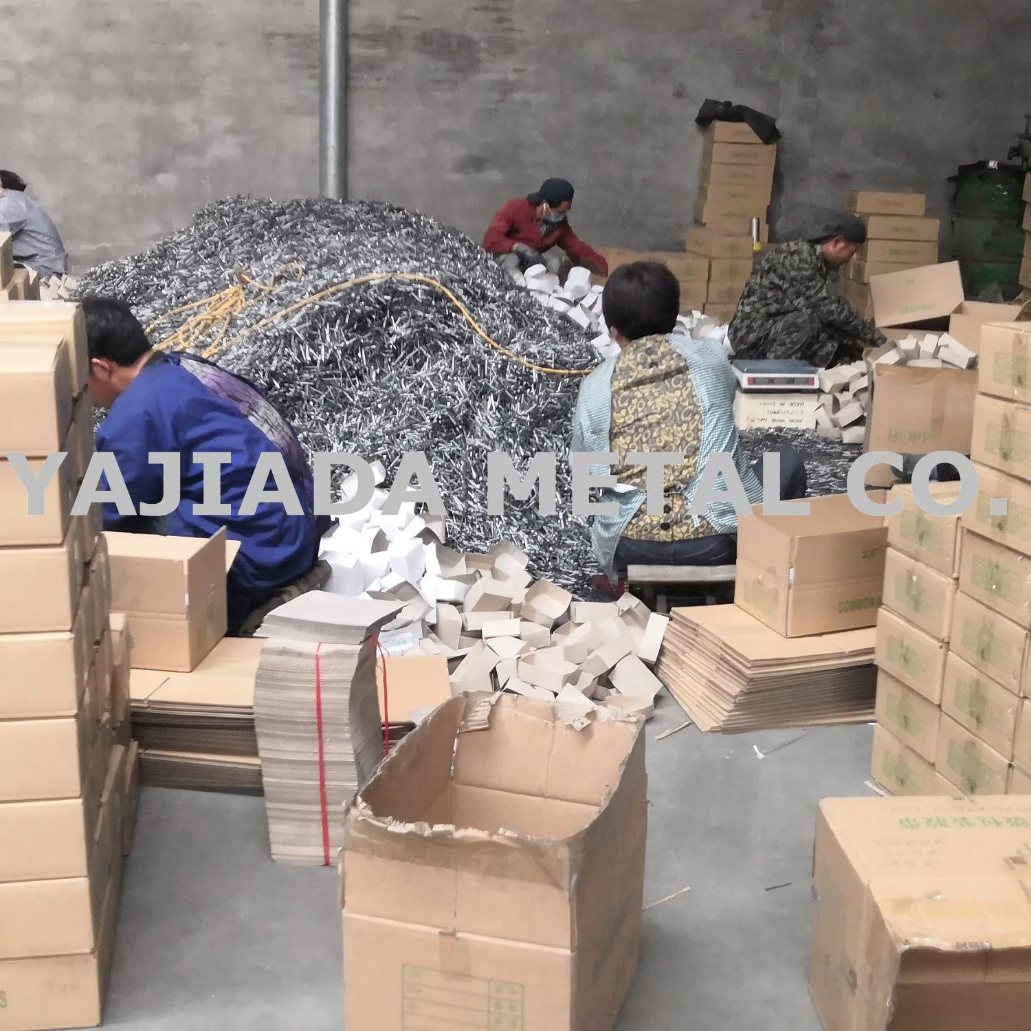 Manufacture for Wire Nails, Wood Wire Nails