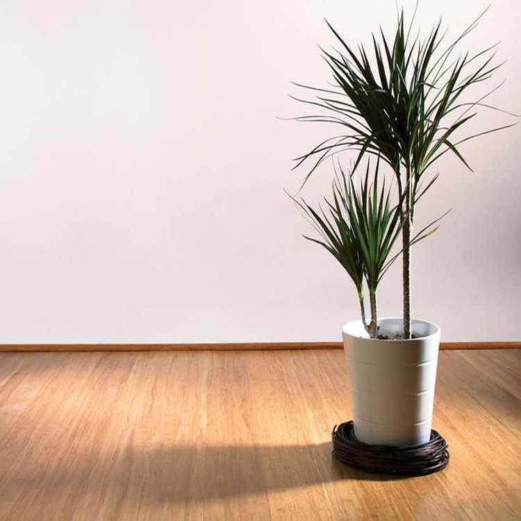 Серый бамбуковый пол Bamboo Compressed Floor