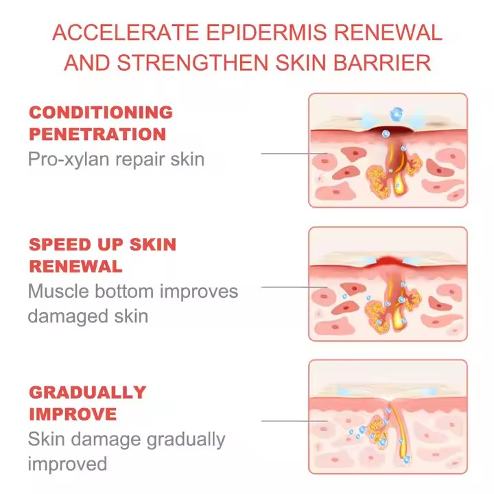 Best Selling Private Label Face Skin Care Anti-Aging Firming Anti-Wrinkle PRO-Xylane Cream