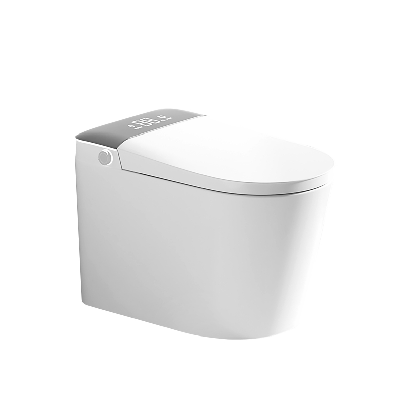 Simple Hot Selling, Fashionable Ceramic Wall Mounted Intelligent Toilet