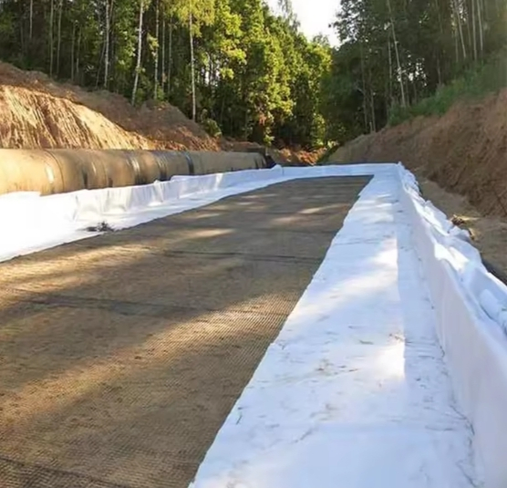 Black White Color 200GSM 300GSM 400GSM Needle Punched Non Woven Geotextile