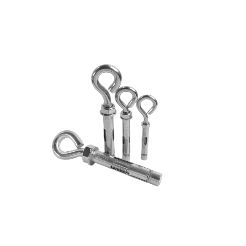 Stainless Steel 304 316 Eyelet Concrete Construction Fixing Ring Eye Bolt O Hook Sleeve Anchor