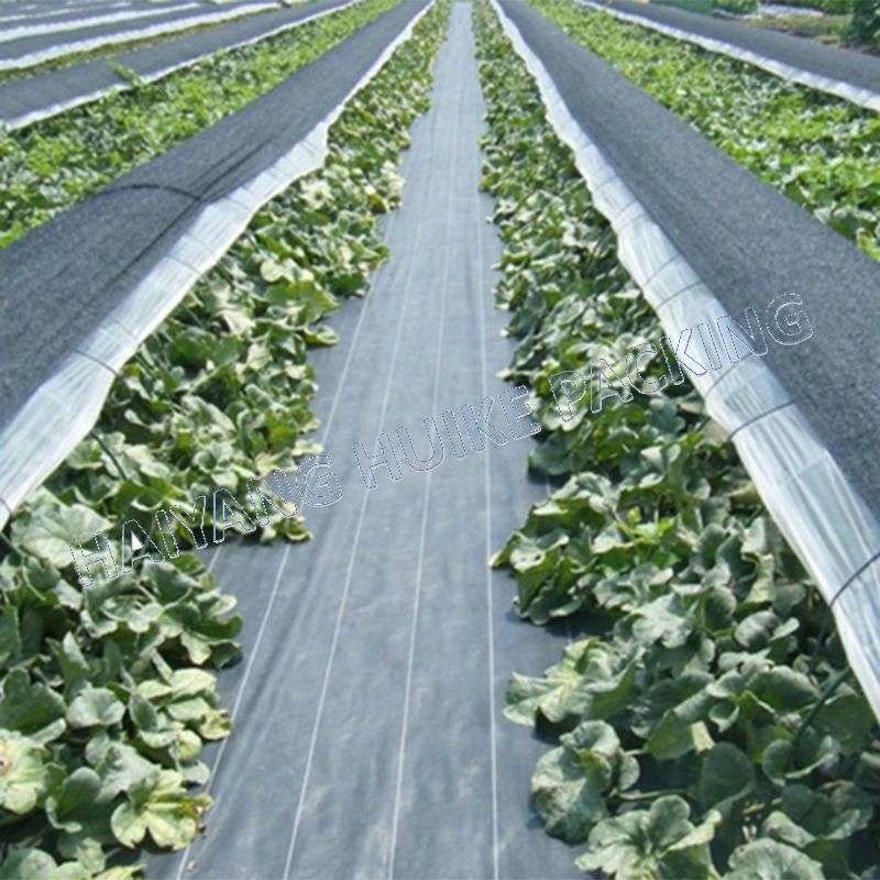 PP PE Material Plastic Weed Control Mat Weed Barrier