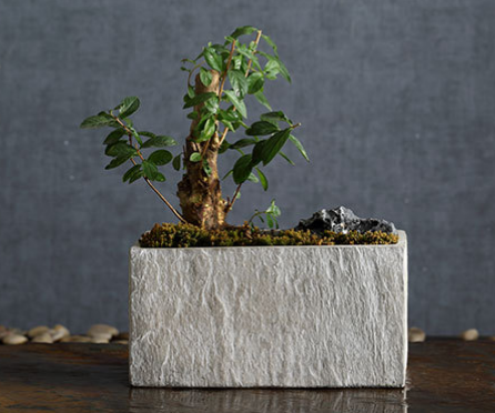 Горшки бетонные прямоугольные для сада патио