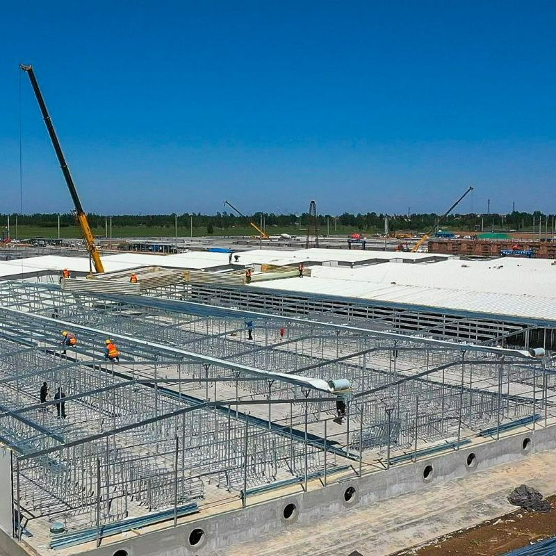 Long Span Light Weight Metal Steel Structures Commercial Building Design