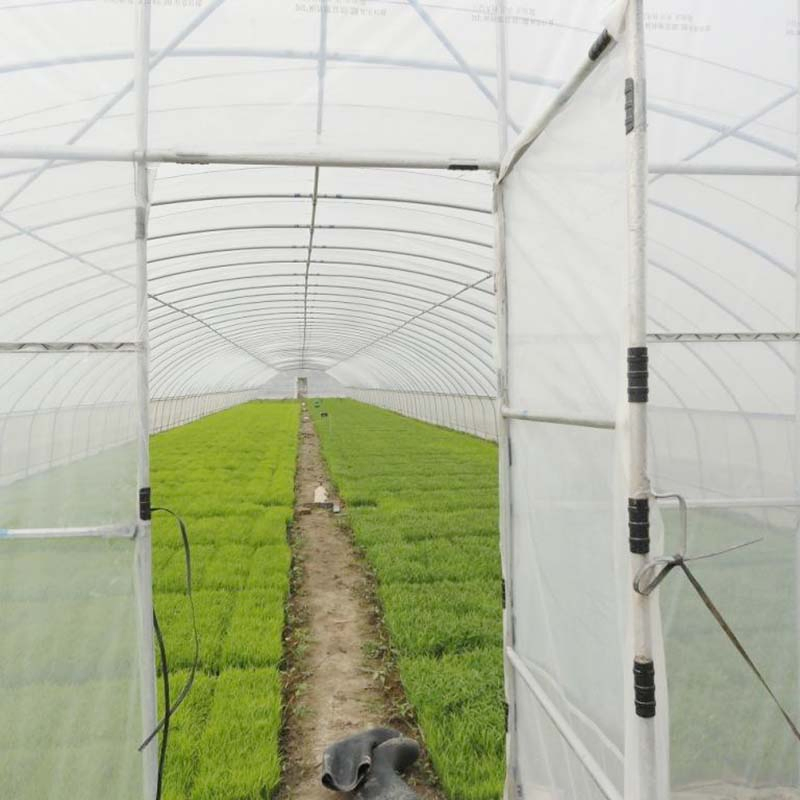 Manufacture Hot DIP Galvanized Steel Garden Hydroponics Green House with Insulation System