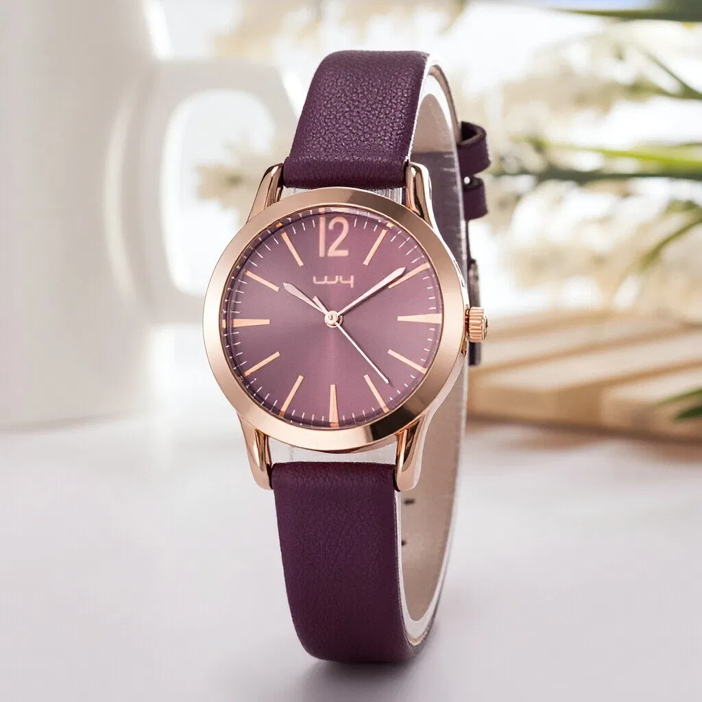 Casual Business Leather Strap Watch OEM Ladies Watches (WY-114E)