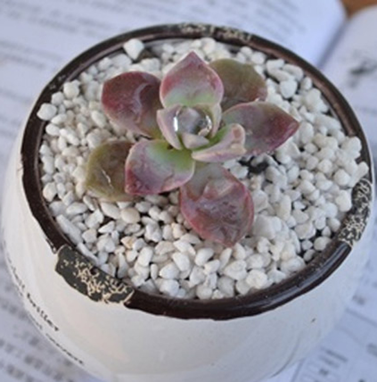 Expanded Perlite 3-6mm Perlite Agriculture 5-8mm