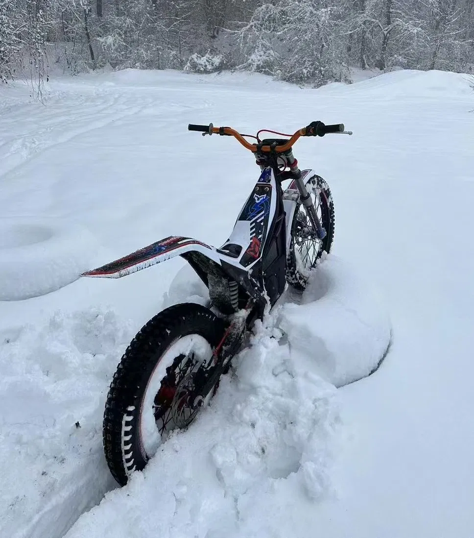 Arctic Leopard Snow Leopard EX800/700 75V 25kW Electric Off-Road Motorcycle