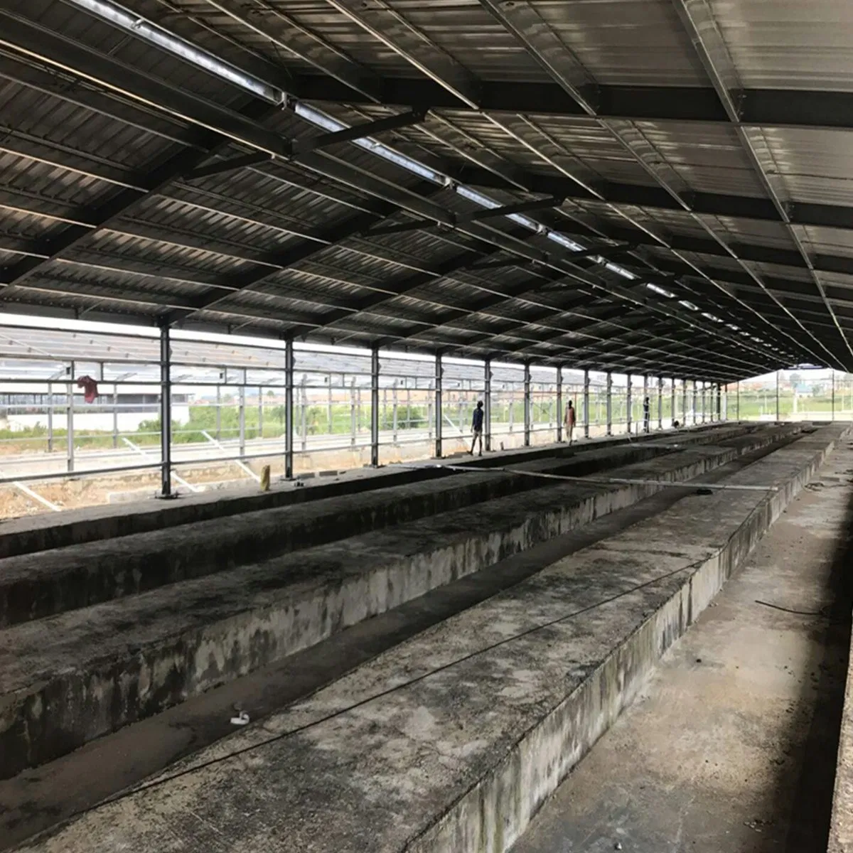 Cheap Prefab Poultry Farm House for 10000 Chickens