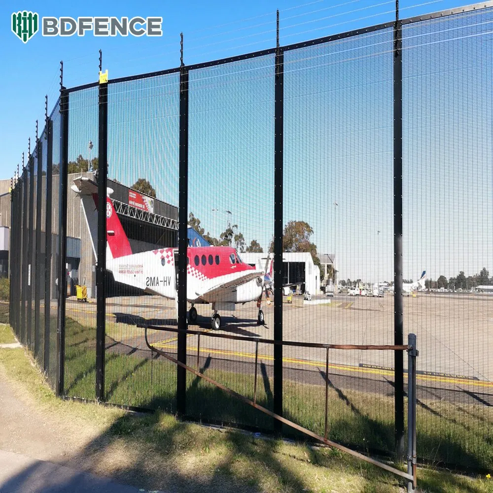 Heavy-Duty Anti-Climb Steel Fence for Secure Driveway Access