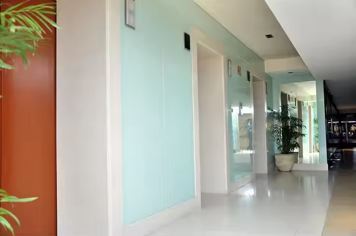 High-Quality Painted Lacquered Glass: Pure White, White&Color Options for Furniture, Wardrobes