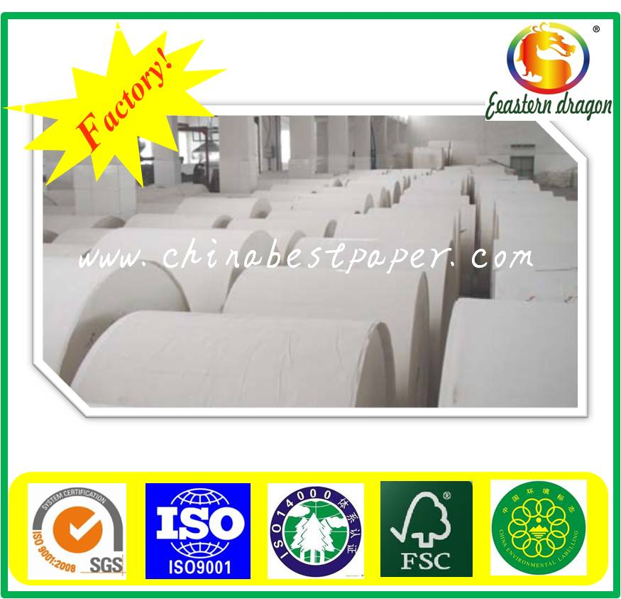 Virgin pulp PE coated paper board 230g for Food packing