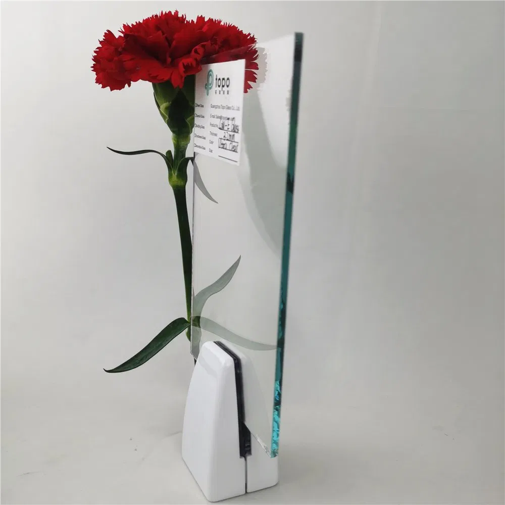 4mm/5mm/6mm/8mm/10mm/12mm Low-E Offline Coated Glass (LE-TP)