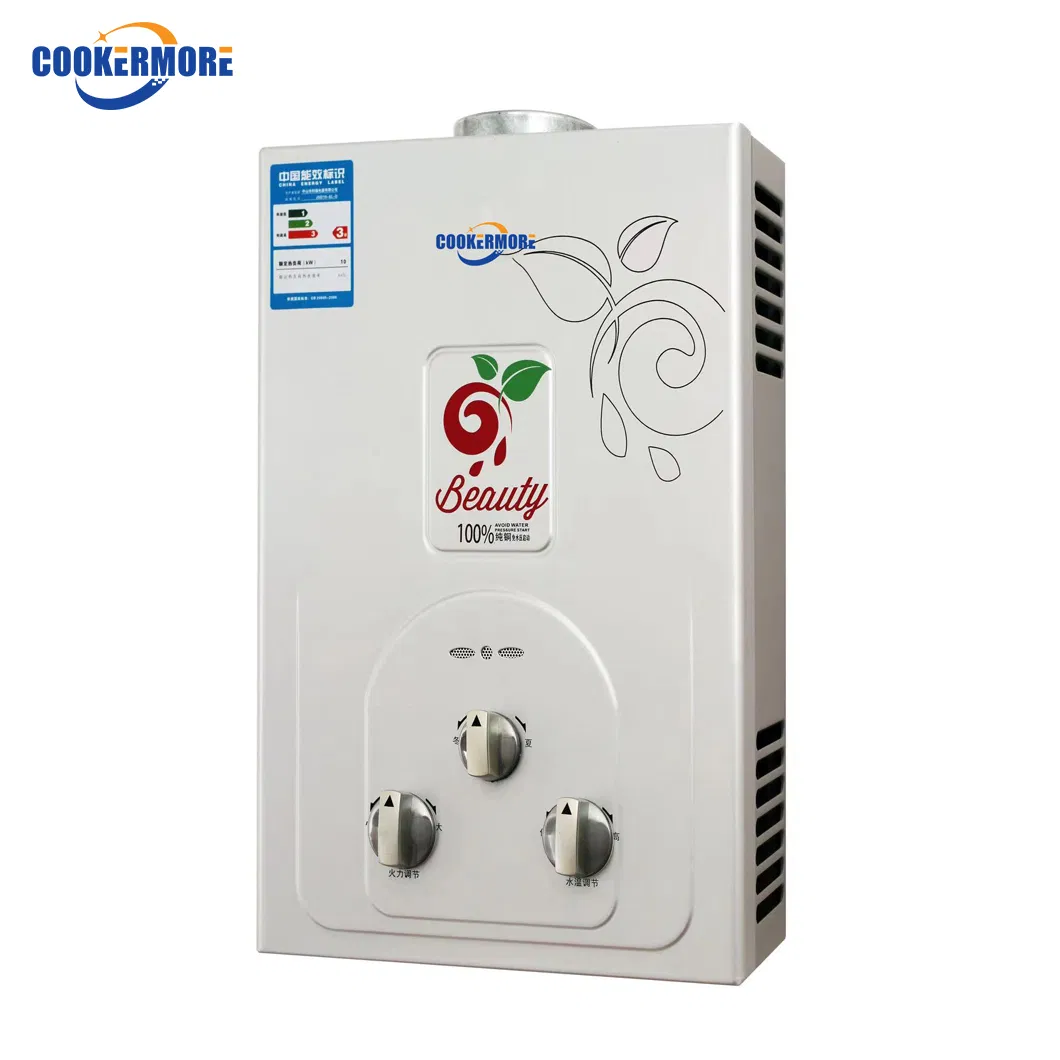 Gas Geyser High Efficiency Ng Balance Type Tankless Hot Water Heater