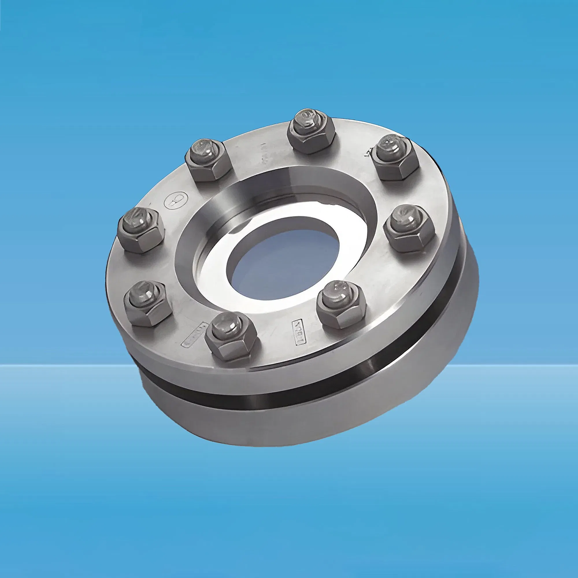 73type Sintered Sight Glass– Stainless Steel Weld Neck Inline Filter View Window