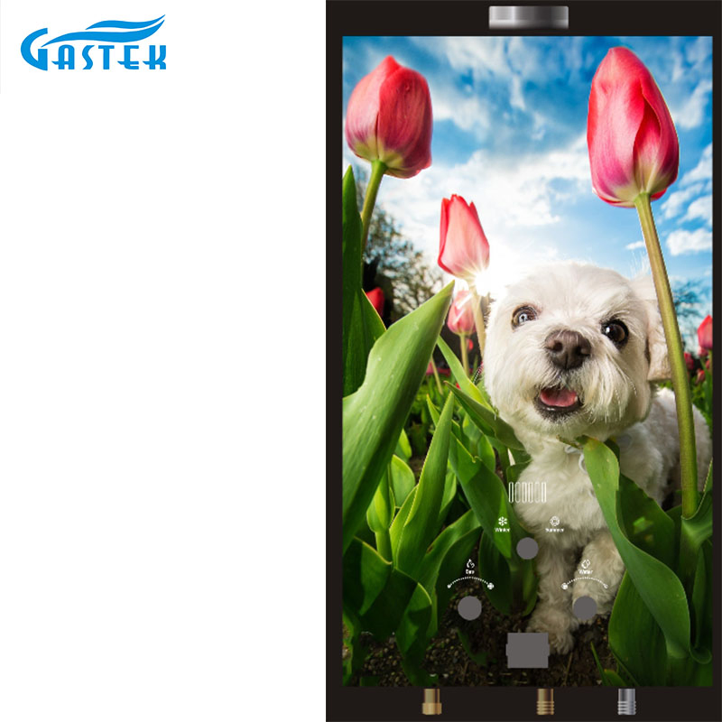 Compact 10L Natural Gas Water Heater for Efficient Bathrooms