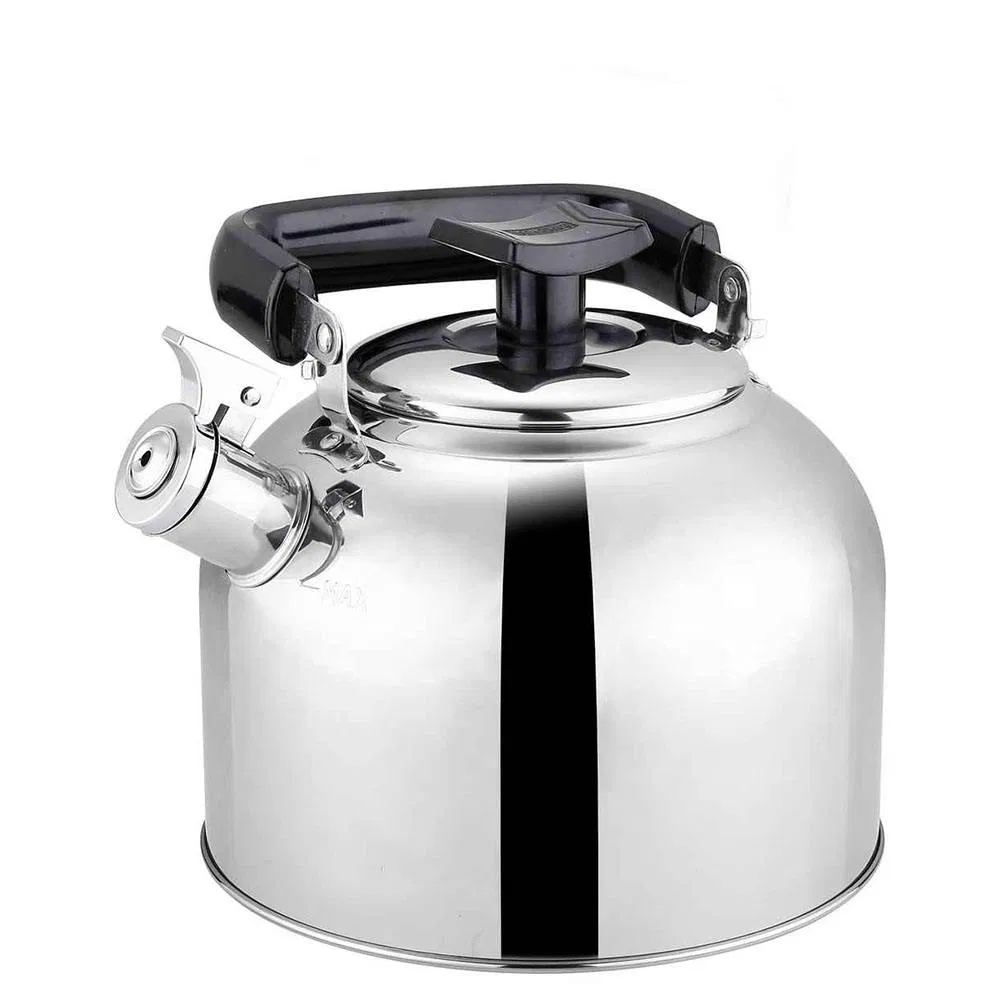 3-6L Japan Style Stainless Steel Whistling Kettle with Mug Spoon Cup Filter, for South America Like Chile, Bolivia, Peru Uruguay