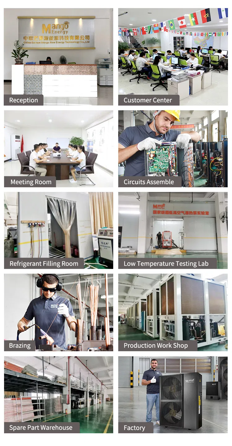 Evi Low Temperature Air Source Heat Pump for Dhw and Room Heating