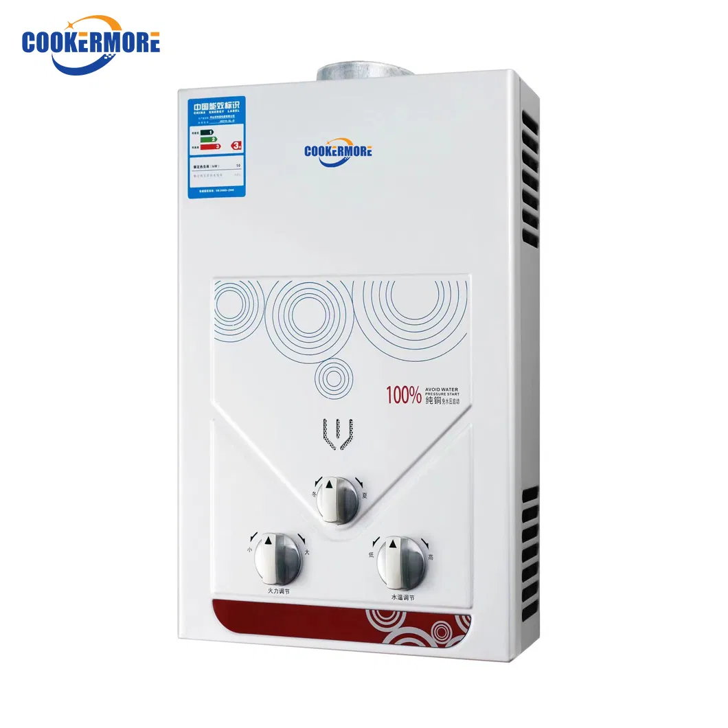 Instant Tankless Gas Water Heater for Whole House Use