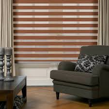 Fell in Love with Zebra Blind at First Sight