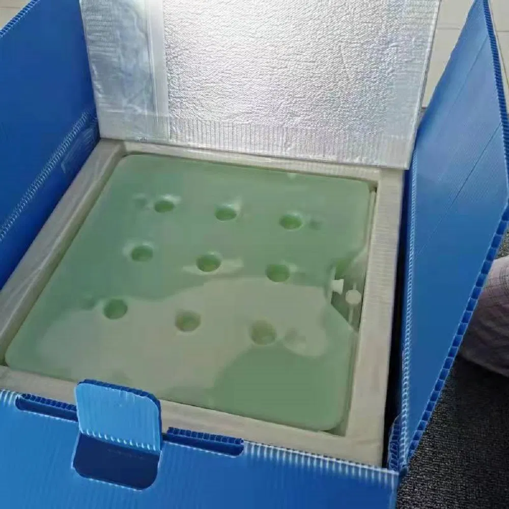 Vacuum Insulation Panel Insulated Cold Storage Box for High Value Temperature Sensitive Food and Products