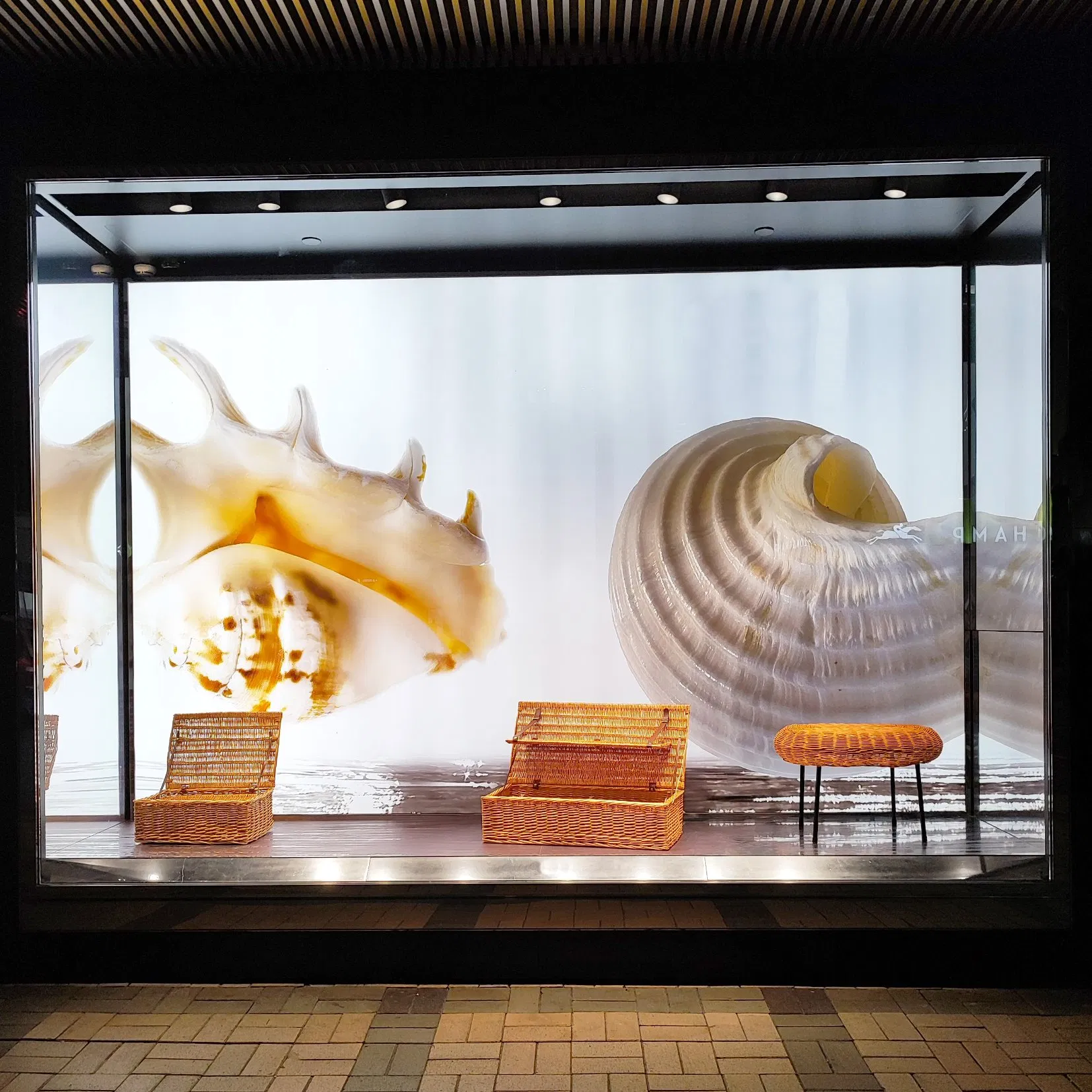 Professional Manufacturing Summer Window Display Props Large Conch Props Shop Decoration