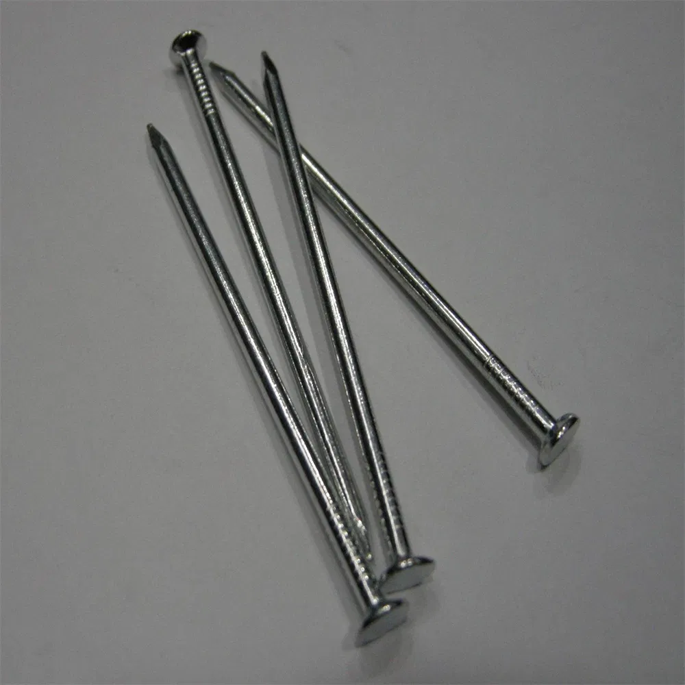 Durable Stainless Steel and Carbon Steel Nail Assortment