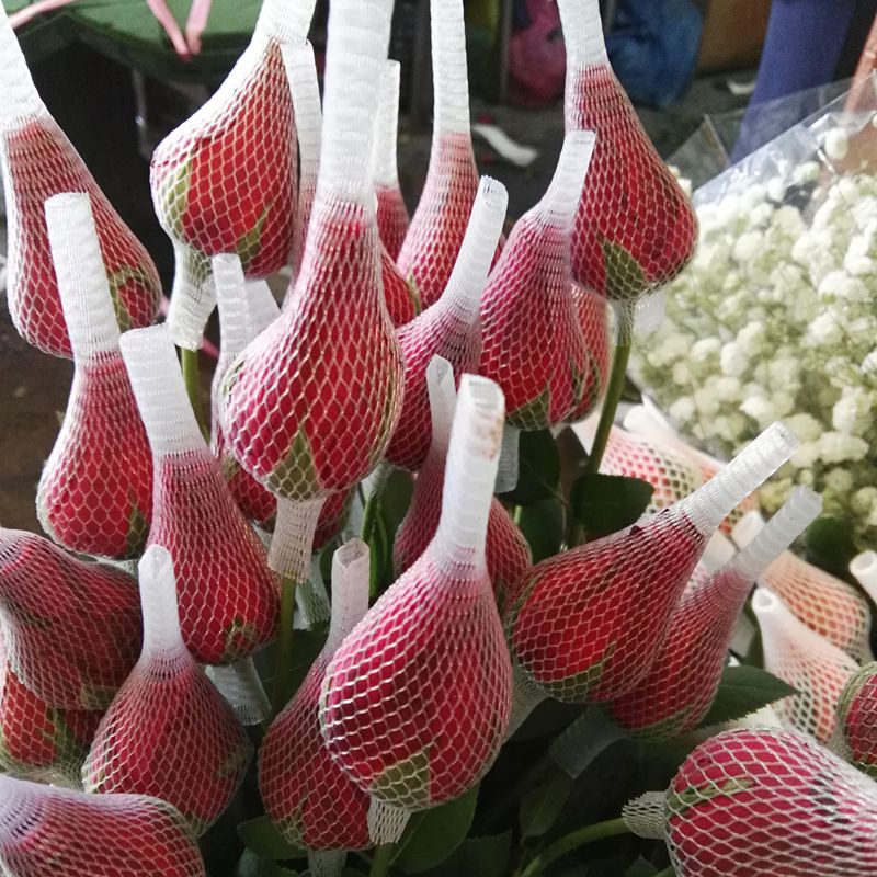 Защитная сетка для бутонов роз