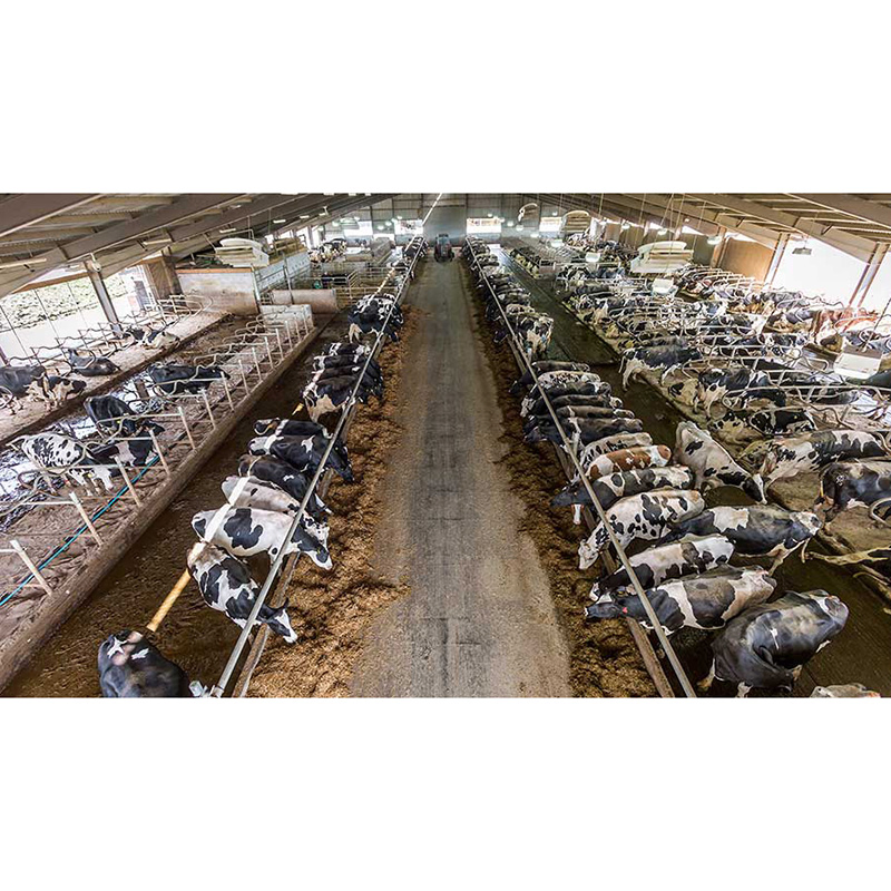 Strong Adaptability Prefab Steel Structure Poultry Chicken Container Luxury Modular Prefab House