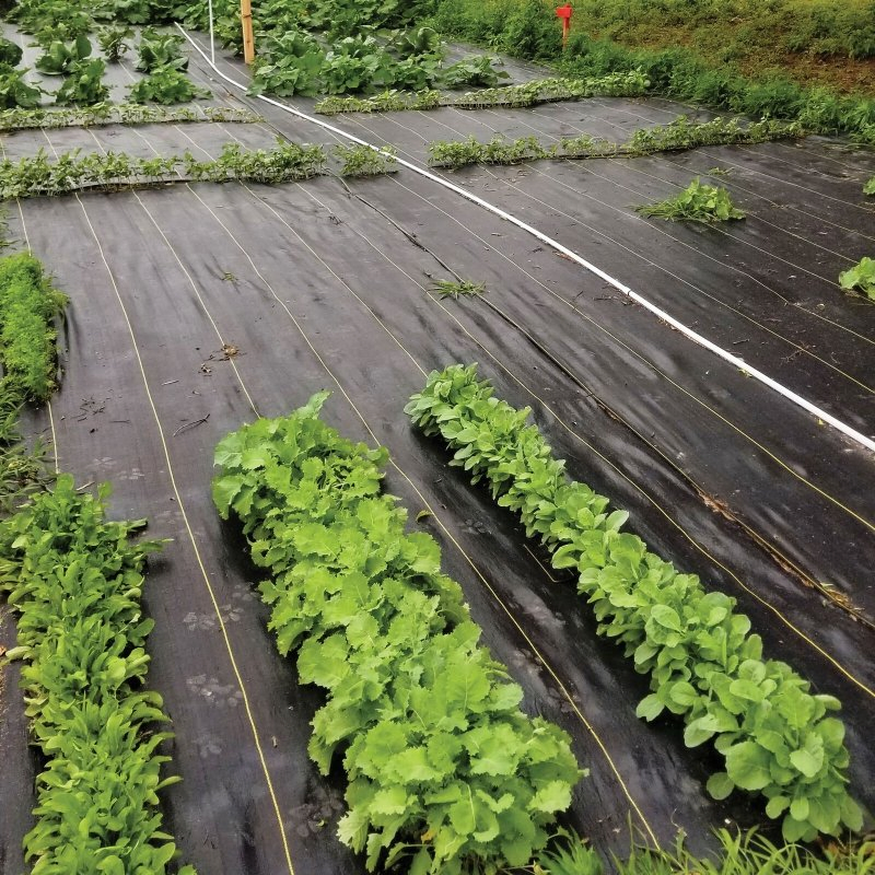 100GSM Woven Geotextile Weed Control Ground Cover Fabric/Polypropylene Weed Control Membrane/New Zealand Weed Mat