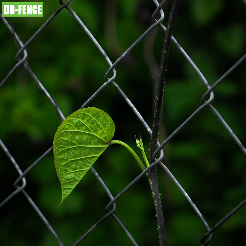 8FT 6FT 4FT Galvanized Diamond Fence Cyclone Wire Mesh 9 Gauge Black Chain Link Fence