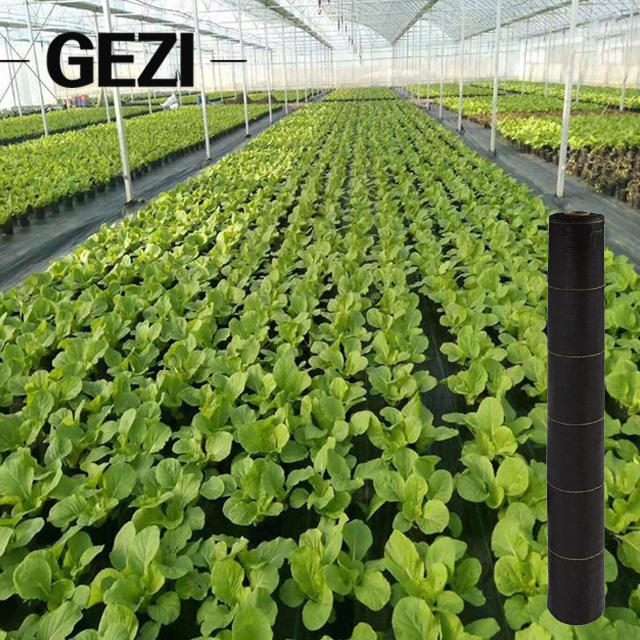 Woven 100GSM Black Weed Mat to Stop Grass Growing