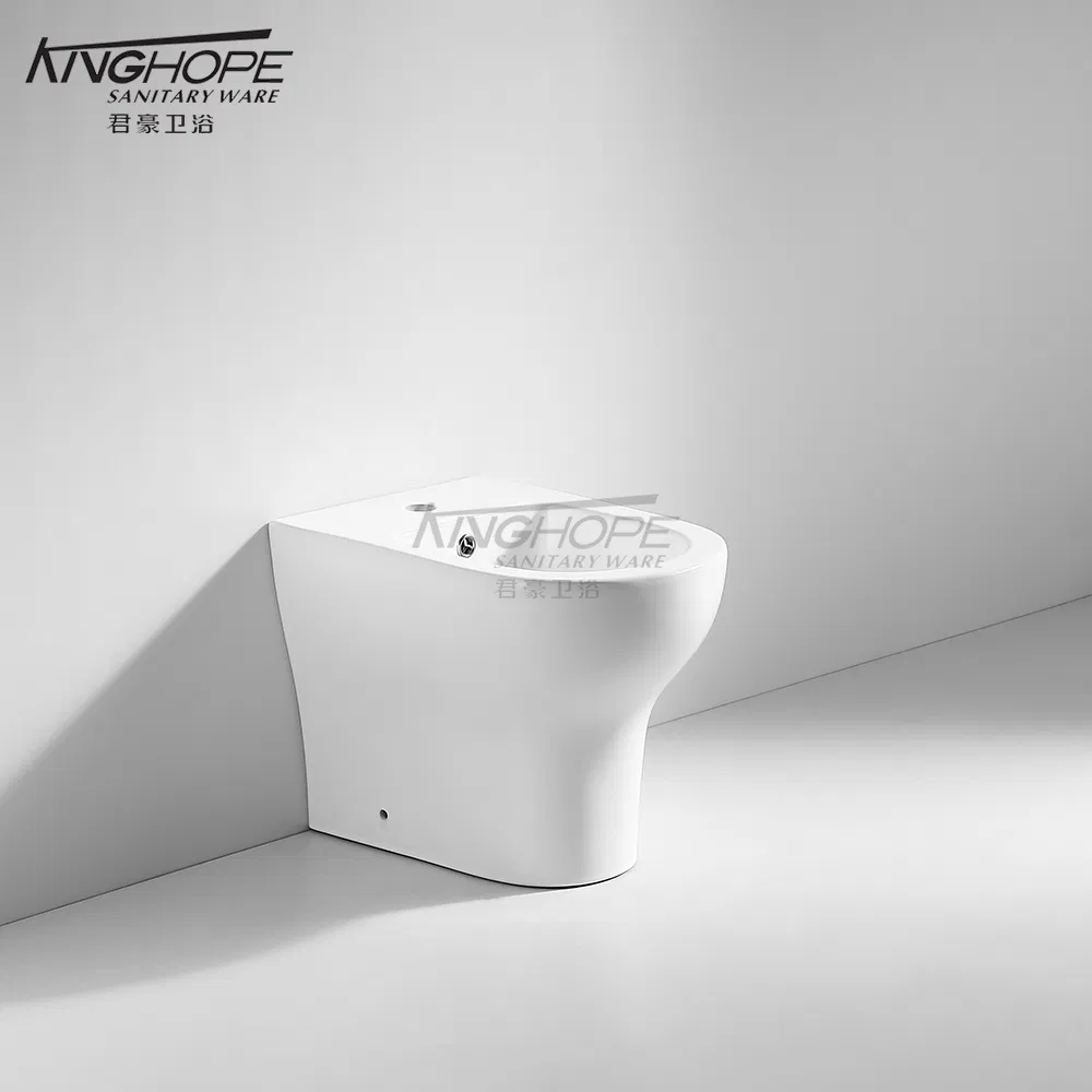 Modern Home Use Factory Direct Sale Floor-Mounted Bidet for Use with Toilet