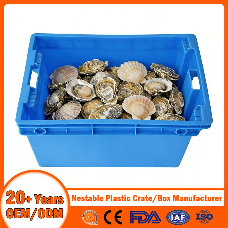 China Plastic Crate Manufacturer Stackable Tote Folding Nestable Storage Mesh Crate for Logistic/Moving/Turnover/Agriculture/Seafood/Vegetable/Fruit/Bread/Lobst