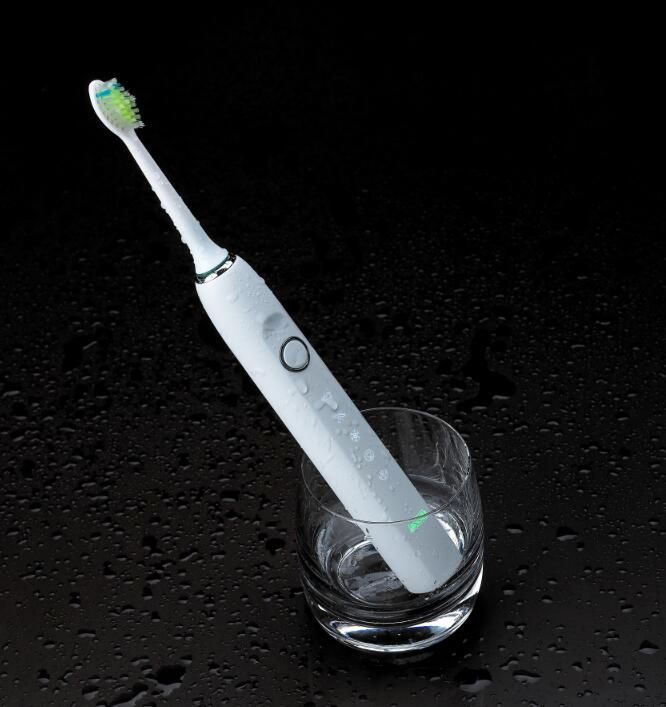 Travel Is Convenient Hotel Toothbrush for Electric Toothbrush