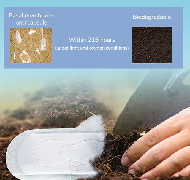 Free Sample Eco-Friendly 100% Organic Bamboo Fiber Sanitary Napkins Biodegradable Ultra-Thin OEM Wholesale for Feminine Hygiene