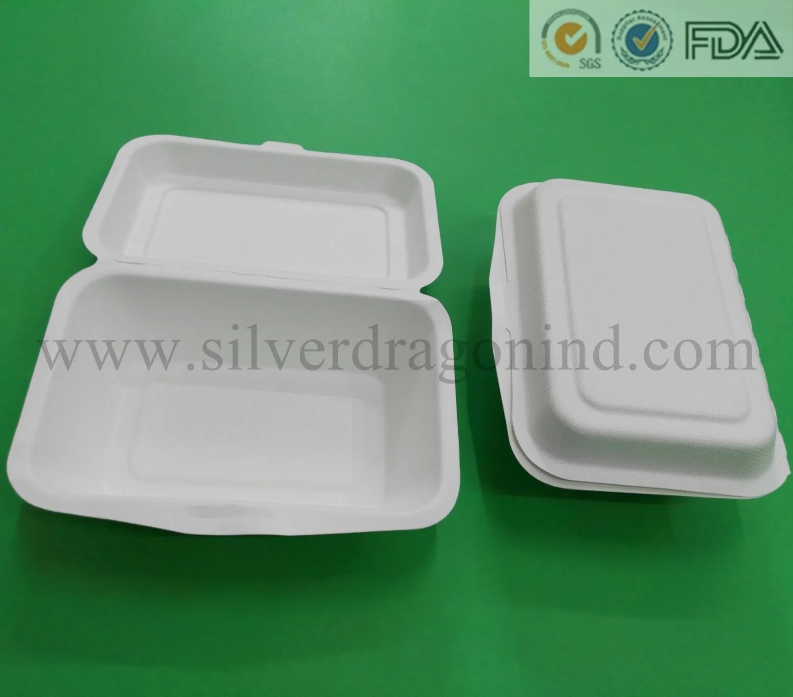Compostable Biodegradable Sugarcane Pulp Paper Plate