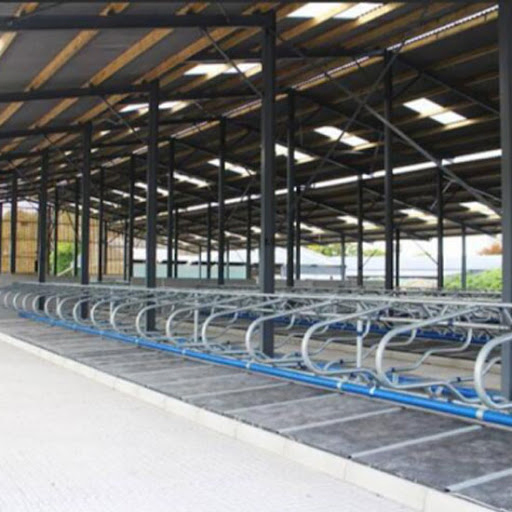 Light Steel Structure Farm Cowshed Low Cost Prefabricated Light Steel Piggery Shed Building